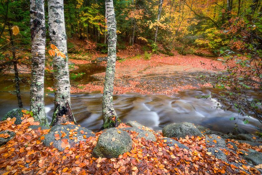 Flowing by 
 Bear River in late Fall, Grafton Notch Maine 
 Keywords: Maine, autumn, fall, fine art landscape photography, fine art photography, new york, pawling,