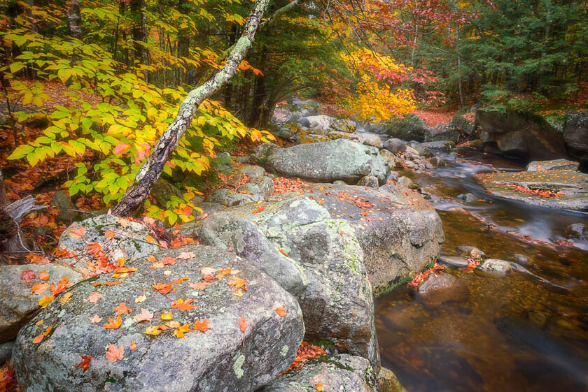 Maine-Jane-Haslam-Fine-Art-Photography-2